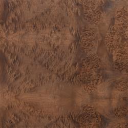 Briella Modern Classic Dark Brown Burl Wood Rectangular Desk|