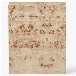 Briella Modern Classic Light Brown Burl Wood Rectangular Desk|