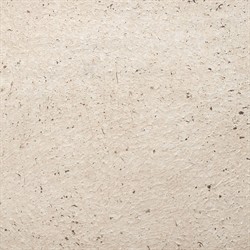 Diego Coastal Off White Ceramic Textured Decorative Vase|