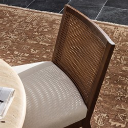 Annette Modern Classic Dark Brown Cane Wood Frame White Performance Dining Side Chair|