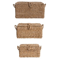 Maren Coastal Natural Woven Seagrass Decorative Basket - Set of 3|