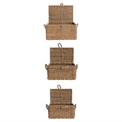 Maren Coastal Natural Woven Seagrass Decorative Basket - Set of 3|