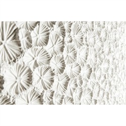 Maris Coastal Beach White Coral Patterned Oak Wood Bar Cabinet|