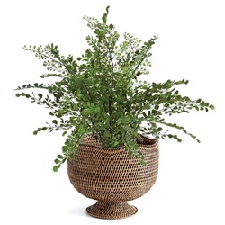 Hollis Updated Traditional Brown Rattan Footed Scalloped Planter|