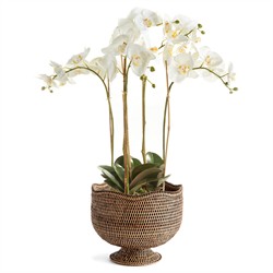 Hollis Updated Traditional Brown Rattan Footed Scalloped Planter|