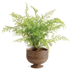 Hollis Updated Traditional Brown Rattan Footed Scalloped Planter|