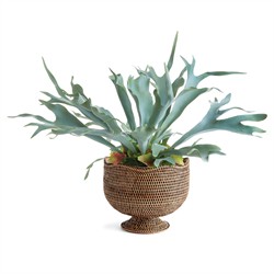 Hollis Updated Traditional Brown Rattan Footed Scalloped Planter|