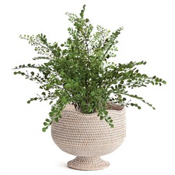 Hollis Updated Traditional Whitewash Rattan Footed Scalloped Planter|