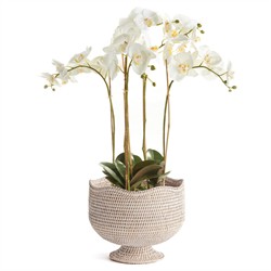 Hollis Updated Traditional Whitewash Rattan Footed Scalloped Planter|