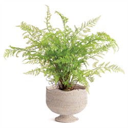 Hollis Updated Traditional Whitewash Rattan Footed Scalloped Planter|