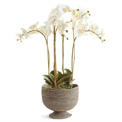 Hollis Updated Traditional Greywash Rattan Footed Scalloped Planter|