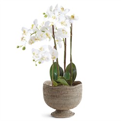 Hollis Updated Traditional Greywash Rattan Footed Scalloped Planter|