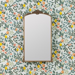 Ambrose French Country Gold Frame Medicine Cabinet Mirror|
