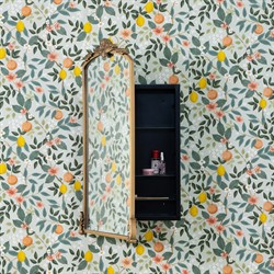 Ambrose French Country Gold Frame Medicine Cabinet Mirror|