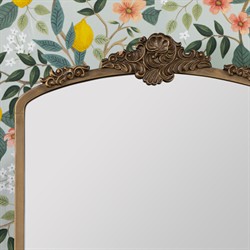 Ambrose French Country Gold Frame Medicine Cabinet Mirror|