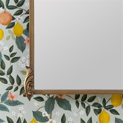 Ambrose French Country Gold Frame Medicine Cabinet Mirror|