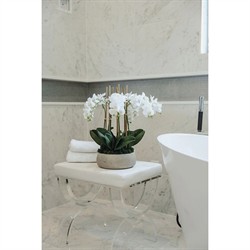 Bree Updated Traditional White Orchid Faux Floral Arrangement|