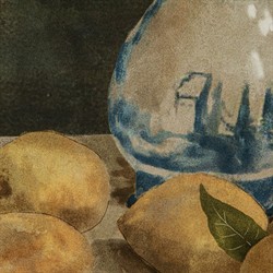 Harlan Traditional Yellow Citrus Still Life Brown Frame Illustration - 18x24|