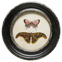 Verity Traditional Green Butterfly Black Frame Multipanel Illustration - 10x10|