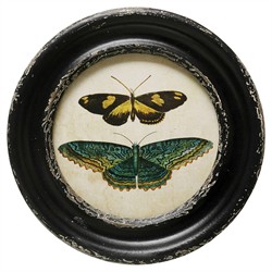 Verity Traditional Green Butterfly Black Frame Multipanel Illustration - 10x10|