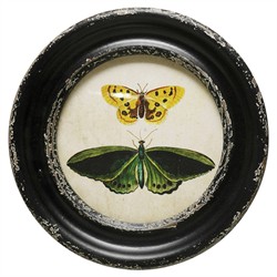 Verity Traditional Green Butterfly Black Frame Multipanel Illustration - 10x10|