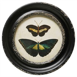 Verity Traditional Green Butterfly Black Frame Multipanel Illustration - 10x10|