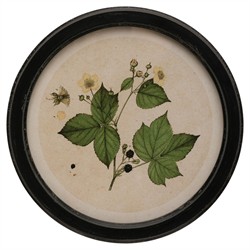 Anthea Traditional Green Botanical Black Frame Multipanel Illustration - 14x14|