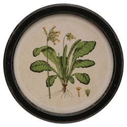 Anthea Traditional Green Botanical Black Frame Multipanel Illustration - 14x14|