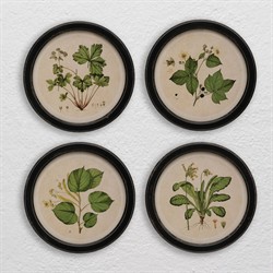 Anthea Traditional Green Botanical Black Frame Multipanel Illustration - 14x14|