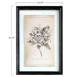 Cressida Traditional Grey Floral Black Frame Multipanel Illustration - 23x16|