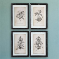 Cressida Traditional Grey Floral Black Frame Multipanel Illustration - 23x16|