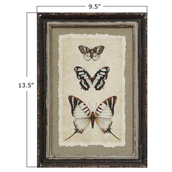 Seraphina Traditional Beige Insect Brown Frame Multipanel Illustration - 14x10|