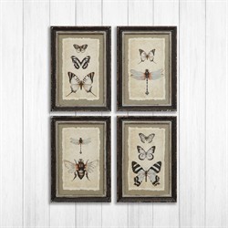 Seraphina Traditional Beige Insect Brown Frame Multipanel Illustration - 14x10|