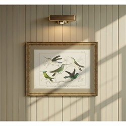 Meridee Traditional Green Hummingbird Gold Frame Illustration - 12x16|