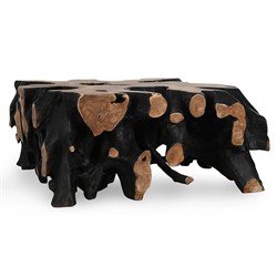 Prescy Coastal Beach Black Brown Teak Root Square Coffee Table|