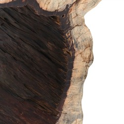 Orla Coastal Beach Natural Wood Console Table|