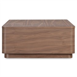 Rex Modern Classic Brown Walnut Rectangular Storage Coffee Table|