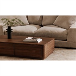 Rex Modern Classic Brown Walnut Rectangular Storage Coffee Table|