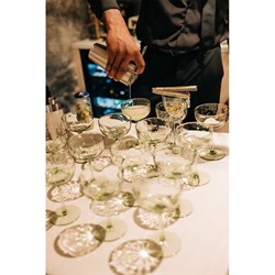 Juliska Puro Modern Classic Basil Cocktail Coupe Glass - Set of 2|