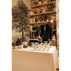 Juliska Puro Modern Classic Basil Cocktail Coupe Glass - Set of 2|