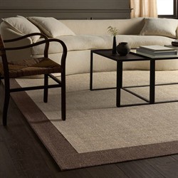 Rudo Coastal Beach Beige Sisal Border Rug - 5'x8'|