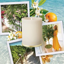 AERIN L'Ansecoy Orange Blossom Modern Classic Glass Scented Candle|