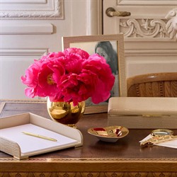 AERIN Ava Coastal Beach Gold Brass Bamboo Magnifying Glass and Letter Opener|