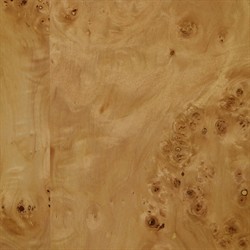 Mullins Modern Classic Natural Burl Double Dresser|