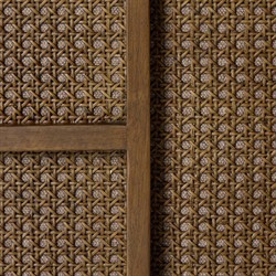 Jun Modern Alcala Fawn Performance Vintage Wood Woven Cane Arm Chair|