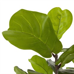Elara Updated Traditional Green Faux Fiddle Leaf Potted Tree - 7'|