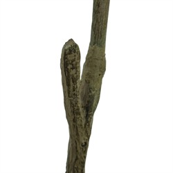 Bernice Updated Traditional Green Faux Pieres Potted Tree - 8'|