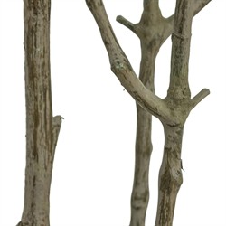 Bernice Updated Traditional Green Faux Pieres Potted Tree - 8'|