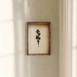 Ashwin French Country Black Floral Aged Gold Leaf Frame Mixed Media - 12x9|