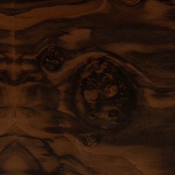 Raisa Walnut Burl Oval Nightstand|